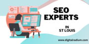 Boost Your Visibility With Professional SEO Experts In St.Louis